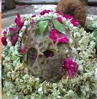 महामृत्युंजय मंदिर में स्वयं भू महामृत्युंजय विराजते हैं